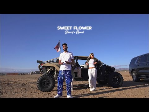 Sweet Flower ( Slowed + Reverb ) - AP Dhillon | Syra