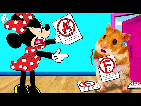 So Sorry Minnie! Hamster Hamham Will Be A Good Student | Life Of Pets HamHam