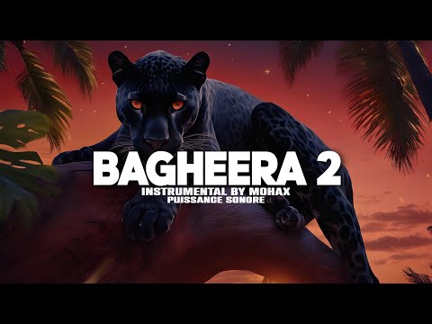 [Free] Melodic Drill Type Beat Guitar "Bagheera 2" Instru Drill Lourd Instrumental Melodieuse 2024