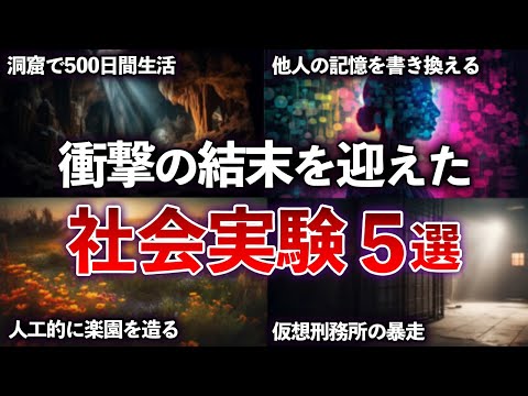 【総集編】学校では教わらない衝撃的な結末の社会実験５選　【ゆっくり解説 with ずんだもん