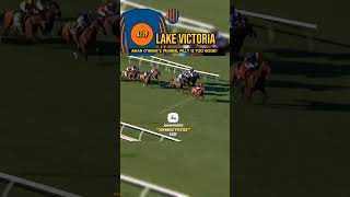 🔵🟠LAKE VICTORIA Is too good in The Breeders Cup!