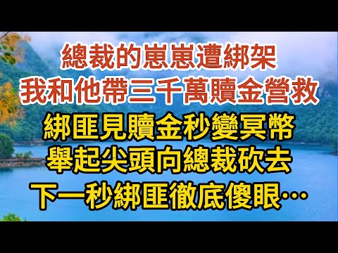 《BB被搶後》第06集：總裁的崽崽遭綁架，我和他帶三千萬贖金營救，綁匪見贖金秒變冥幣，舉起尖頭向總裁砍去，下一秒綁匪徹底傻眼……#婚姻#情感故事#甜寵#故事#小說#霸總