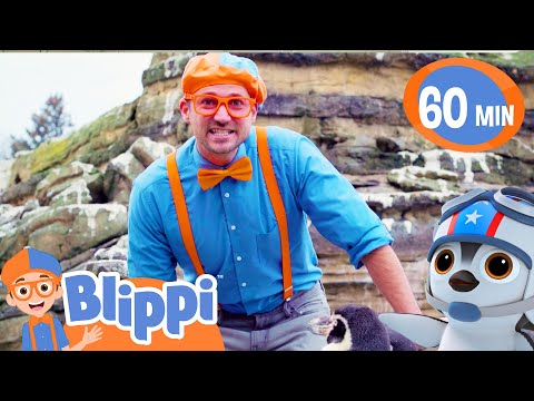 Blippi Learns About Penguins at the Zoo | Fun with Blippi! | Blippi Educational Songs for Kids