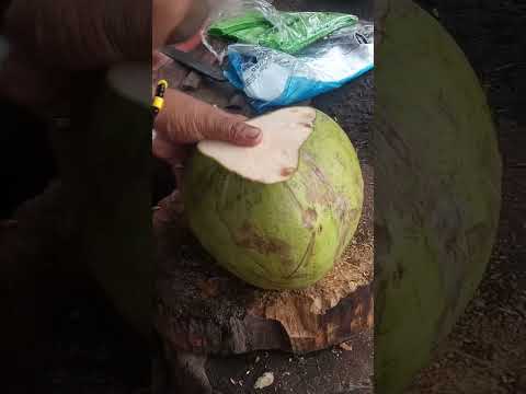 perfect coconut cutting skills Asmr #satisfying #cuttingskills #streetfood #youtubeshorts #Gatchie