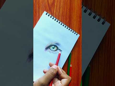 A realistic drawing of a cat: colored pencil tutorial #shorts #drawing #art #eyes #easycatdrawing