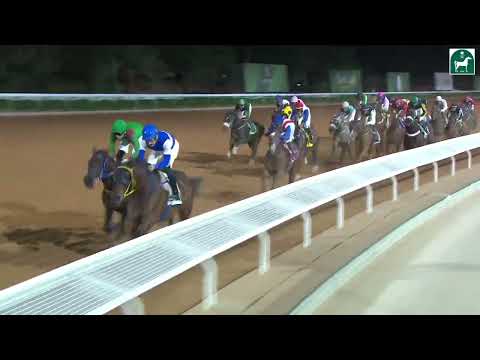 RIYADH RACING SEASON MEETING NO 51 RACE NO 11