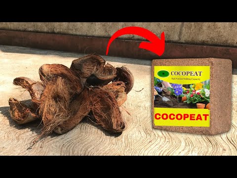 How COCOPEAT is Made | COCOPEAT Manufacturing