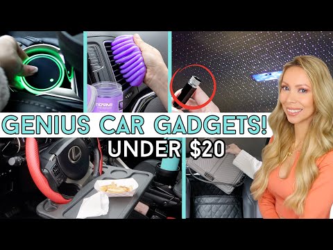 20+ GENIUS Car Organization Under $20!!