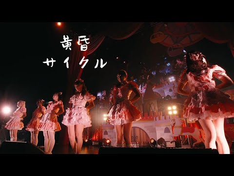 【中日双语字幕】夜光性アミューズ「黄昏サイクル（黄昏骑行）」【Cover iLiFE!】【LIVE映像】【4K】