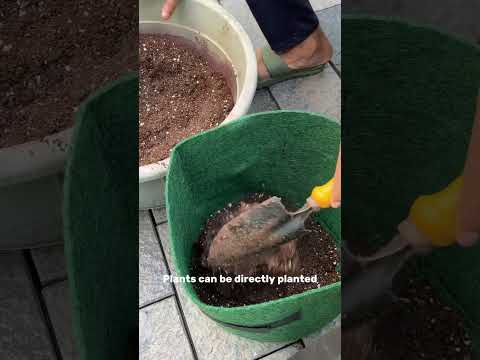 Best flowering fertilizer for plants , Geo Fabric Grow bags from Nutripot #ytshorts #plants