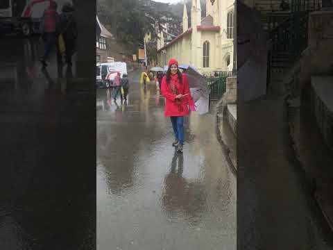 #shorts #youtubeshort #atshimla#शिमला #shimla #shimlatour #vandanasingh #mallroadshimla