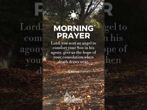 November 2nd Morning Prayer #shorts