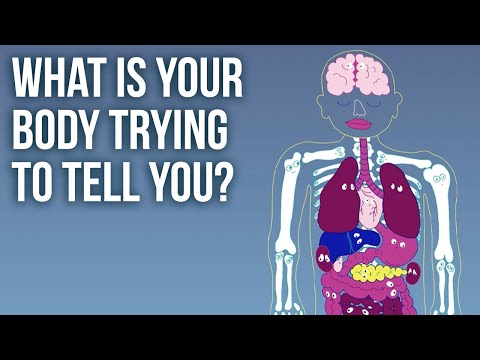 How to listen to your Body