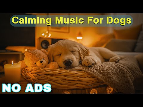 12 HOURS of Relaxing Music For Dogs💖🐶Anti Separation Anxiety Relief🐶💖Pet music🎵 Deep Sleep🐶