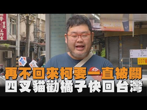 勸橘子快回台灣吧！　四叉貓：妳再不回來柯文哲要一直被關