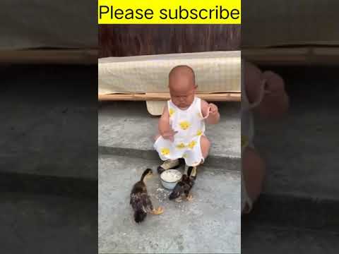 cute baby funny video |funny tik tok video 2023