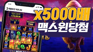 [슬롯머신] [슬롯]｜버팔로 킹 메가웨이즈 x5000배 맥스윈 당첨!｜Pragmatic play Maxwin