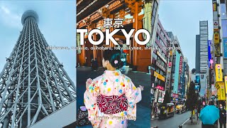 Tokyo Vlog | shinkansen, asakusa, akihabara, shinjuku, tokyo skytree, teamLab planets | Japan Travel