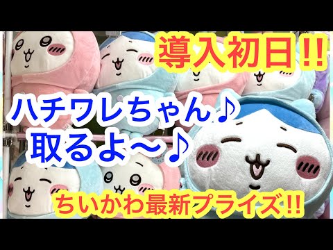 【ちいかわ】ハチワレパジャマBIGぬいぐるみ導入初日チャレンジ！！ウワワタークタク・・・チャオ・・・