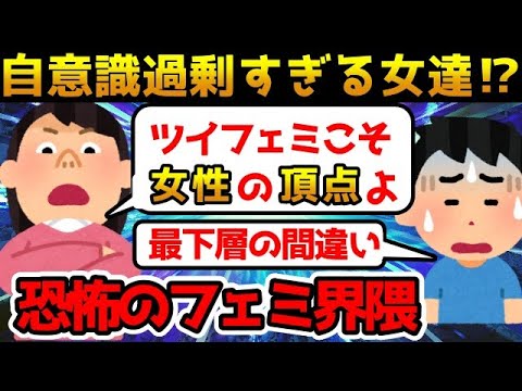 【自己中心的】ツイフェミは自分たちが世界の中心に立っていると勘違いしている模様【ゆっくり解説】