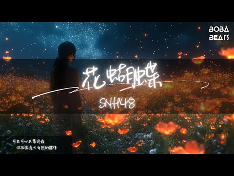 SNH48 - 花蝴蝶『貧瘠土壤 也能滋生夢想』【Lyrics Video】