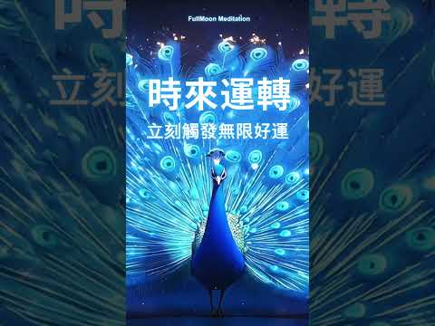 八分鐘後 一切發生驚奇巨變！立刻觸發無限好運🦚 【試聽版】無需祈禱 你已經是幸運本體🍀不可思議的轉運音頻，加速顯化你想要的一切，吸引力法則，淨化磁場，高頻能量音樂 #meditationmusic