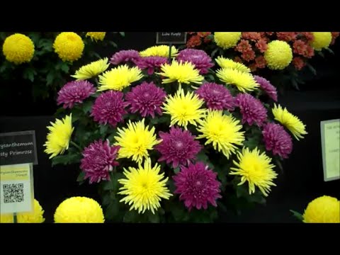 Gardeners World Live 2016