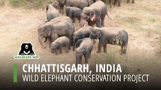 Chhattisgarh Wild Elephant Conservation Project, Part 1 2017-2021