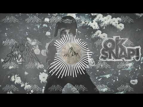 Chronic Shnxman - OK SNAP! [[Official Visualizer]]