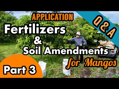 Fertilizer & Soil Amendments for Mangos | Part 3- Application Qs