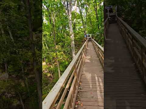 Walking the trails at Wildwood preserve #nature