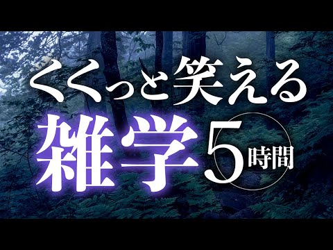 【睡眠導入】くくっと笑える雑学5時間【合成音声】