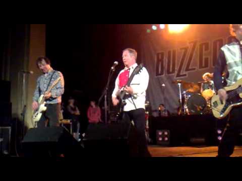 Buzzcocks en Chile - What Do I Get (extracto)