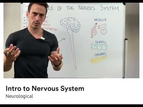 Introduction to nervous system