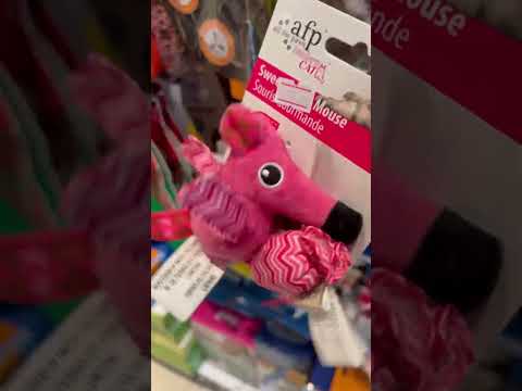 sweet tooth mouse #asmr #shorts #short #catlover #pets #toy #trending #viral