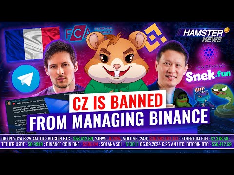 Durov’s post-arrest statement, UK approves only 4 crypto firms, Binance bans CZ ⚡️ Hamster News