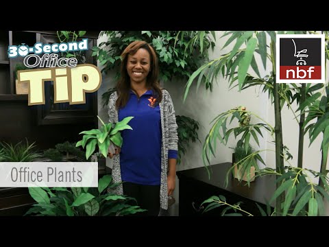 Office Plants | NBF 30 Second Office Tip