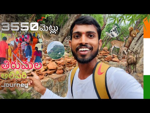 DAY 009 the journey Tirupati to Tirumala Alippiri footpath | ALL INDIA TRAVEL 🇮🇳