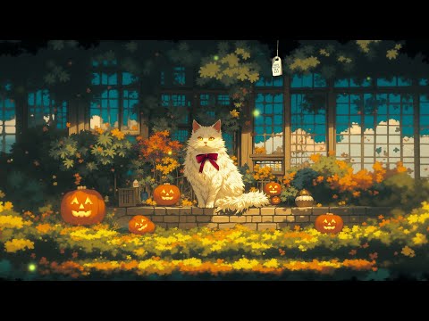 Enjoy Halloween Ambience with My Cat 😸👻 Trick Or Treat | halloween lofi mix