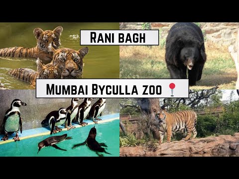 #vlog27  Buyculla zoo mumbai | rani baug | complate tour to rani baug | rani chi baug | #ranibagh