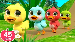 5 Little Ducks song | Newborn Baby Songs & Nursery Rhymes