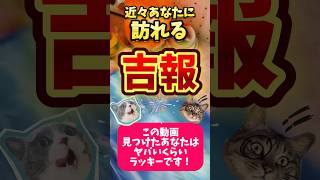 たまたま見たあなただけに訪れる吉報‼️幸運‼️#タロット#占い #連絡