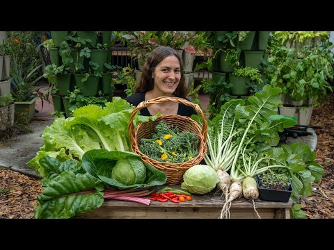 10 Years of Gardening Experience In Under 10 Minutes