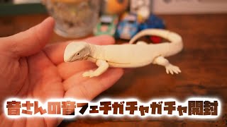 音さんのトカゲのガチャガチャ開封