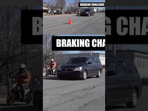 Honda Navi vs. Odyssey SHOWDOWN