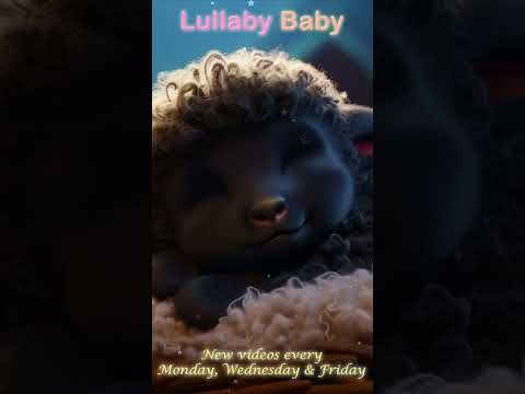 ✰ Baa Baa Black Sheep Lullaby ✰