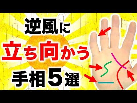 【手相】どんなピンチでも！逆風に立ち向かう手相５選【指導者・リーダー・監督】