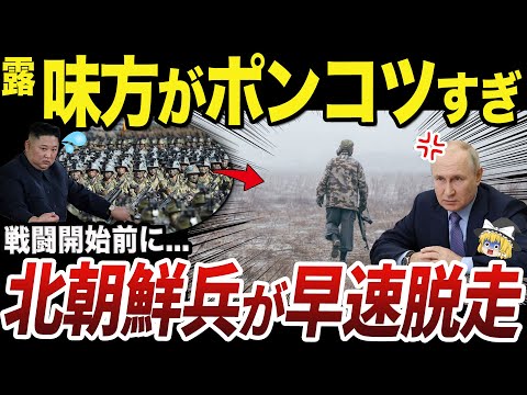 【ゆっくり解説】クルスク州に配置予定のロシア軍所属北朝鮮兵の失態