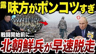 【ゆっくり解説】クルスク州に配置予定のロシア軍所属北朝鮮兵の失態