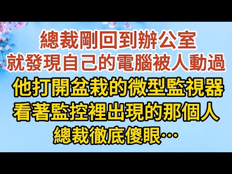 《隱藏的離婚秘密》第13集： 總裁剛回到辦公室，就發現自己的電腦被人動過， 他打開盆栽後的微型監視器，看著監控裡出現的那個人，總裁徹底傻眼……#戀愛#婚姻#情感 #愛情#甜寵#故事#小說#霸總